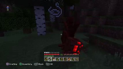 leemufc80's fractions minecraft