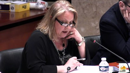 Conseil Municipal de la ville de Colomiers 22 Février 2017