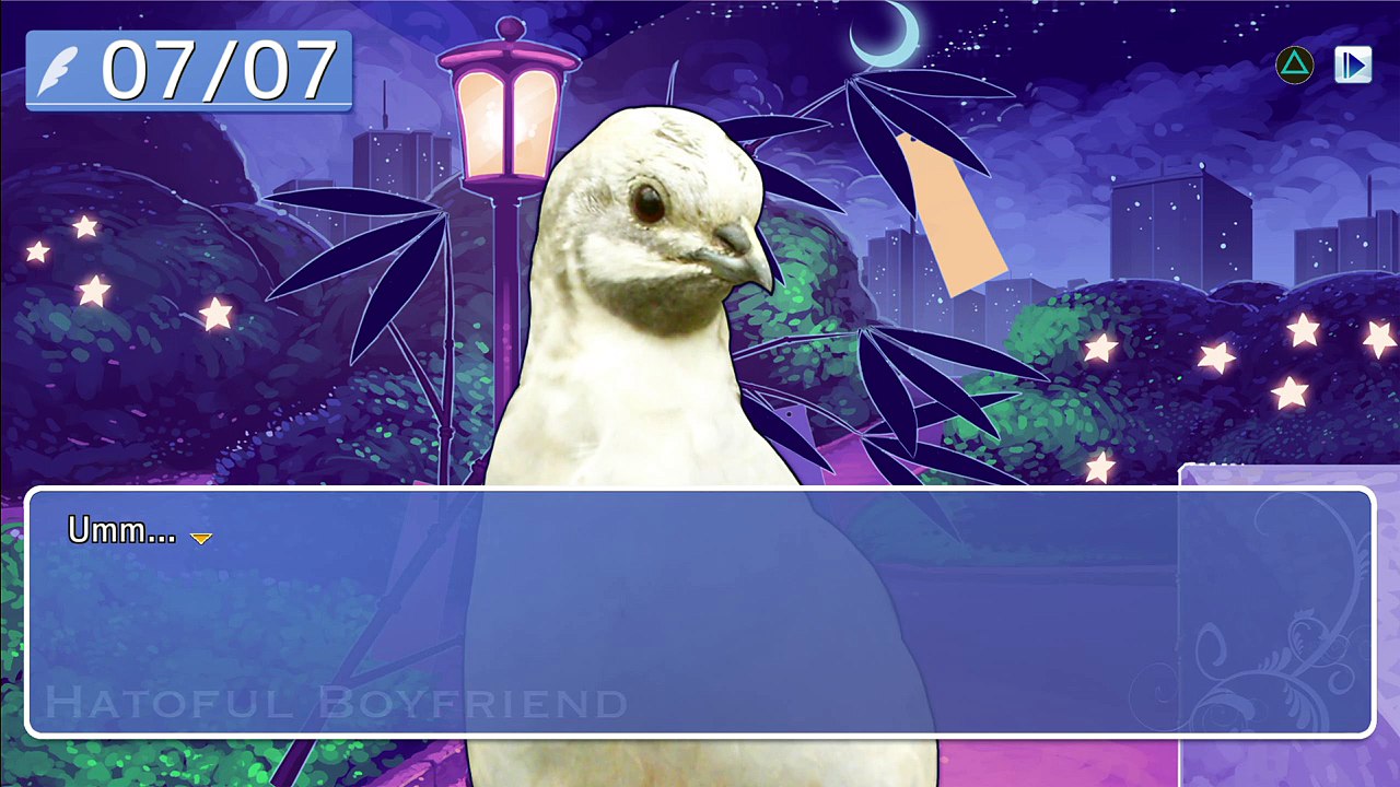 Pajaros Anime!!!!!!!!