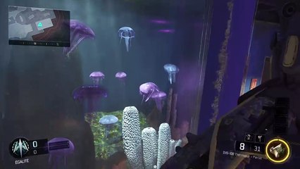 Glitch bo3 ( XBOX 360 PS4 ) AQUARIUM