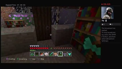 Minecraft: PlayStation 4 Edition