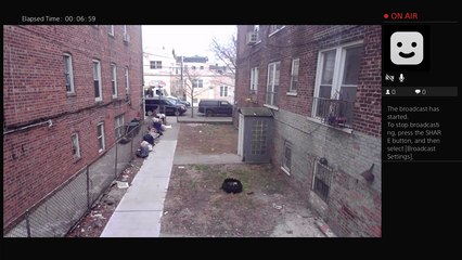 Playroom TheStevenKingShow What's good people its a good day with friends