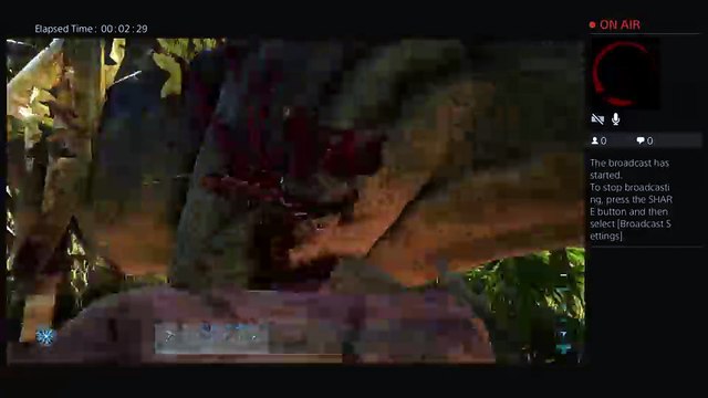 Fortnite (two noobs)