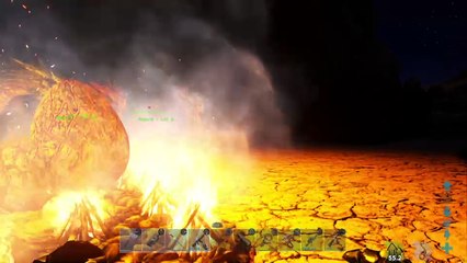 So many wyvern eggs