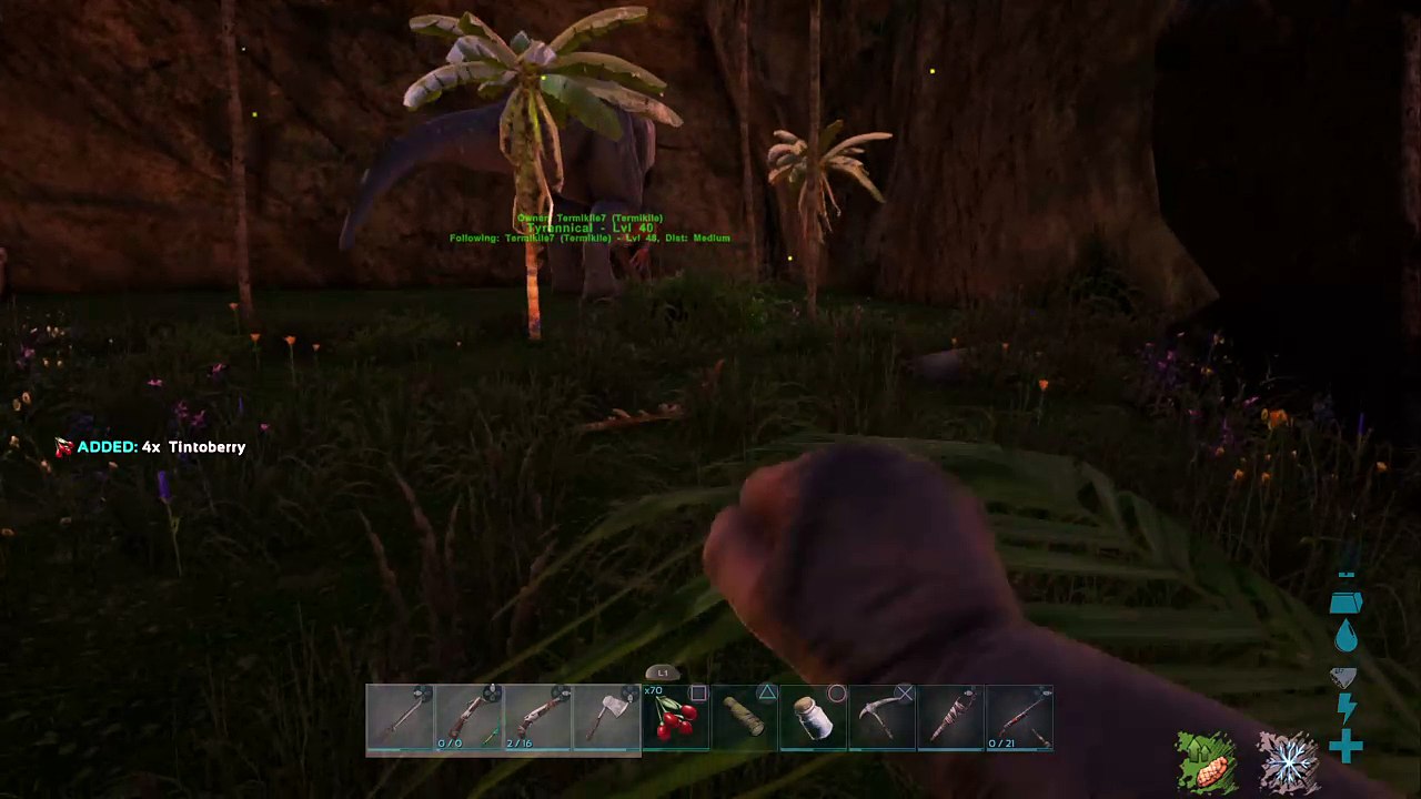 Ark Rico Allosarus Stream