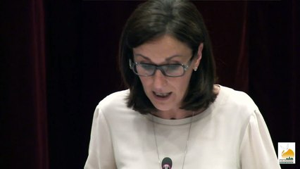 Conseil municipal de la ville de Colomiers 26 juin 2017
