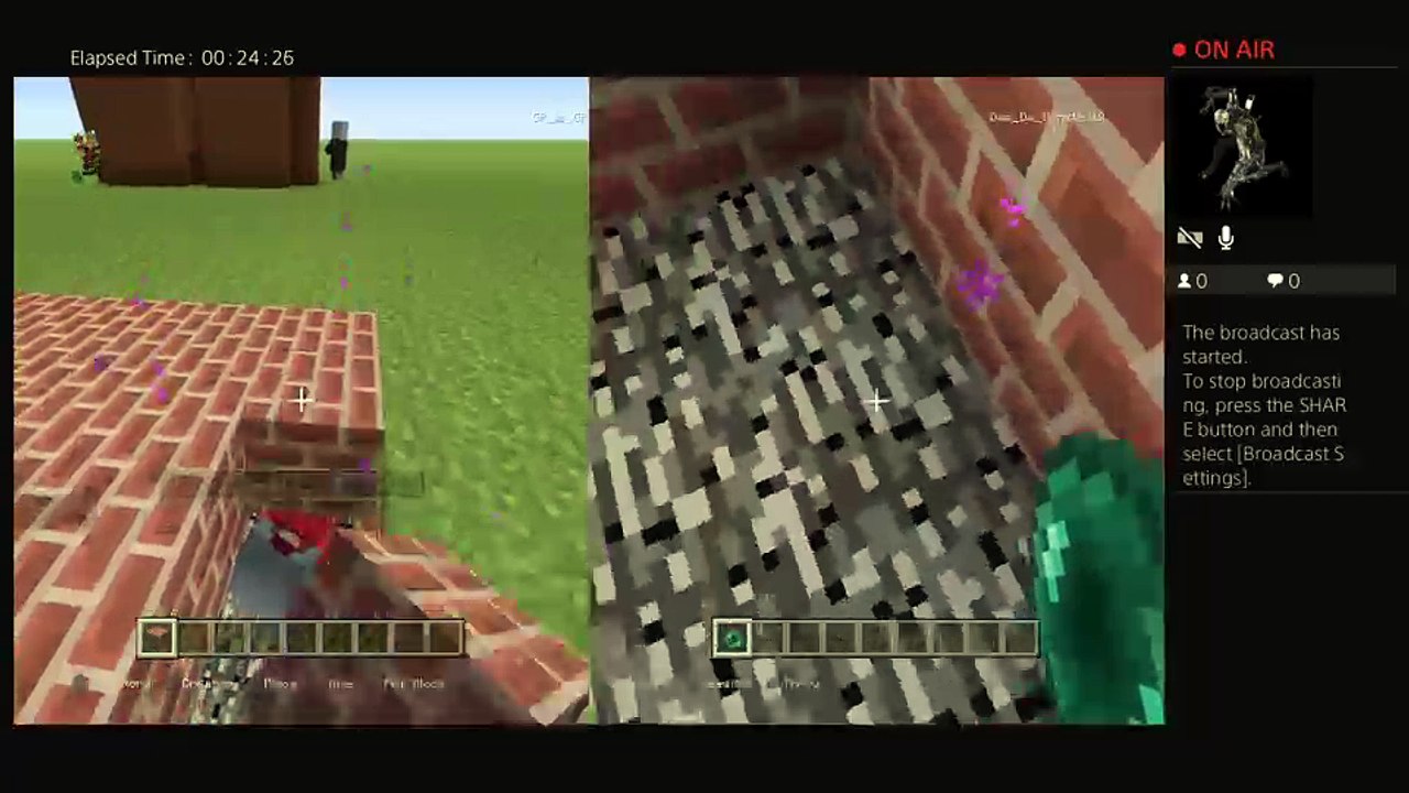 Minecraft fun