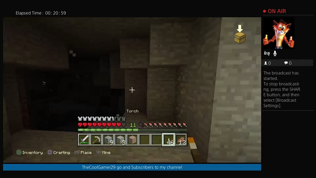 Minecraft livesteam