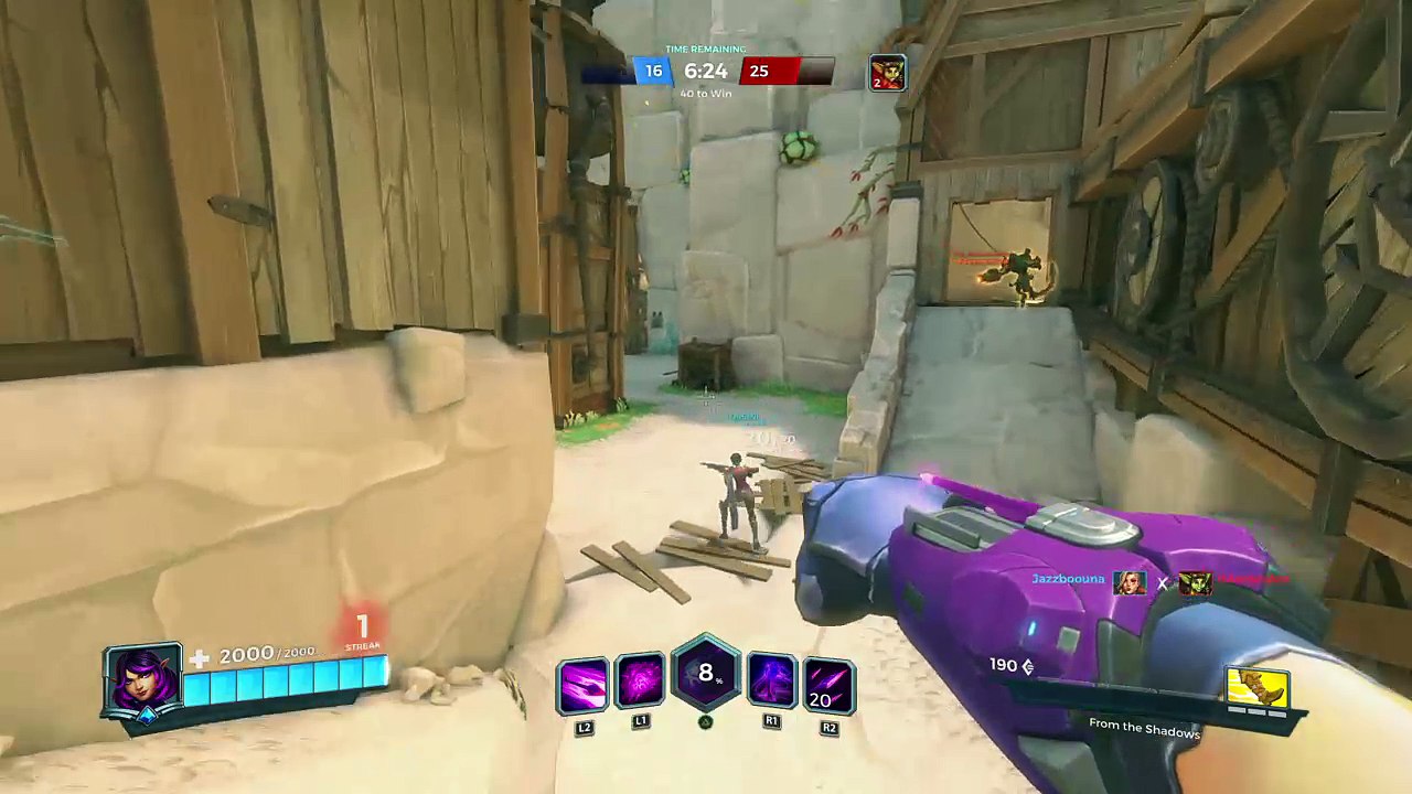 Paladins