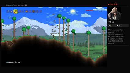 Terraria, starting from scratch