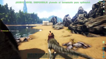 Construyendo la casa