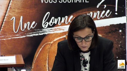 Conseil municipal ville de Colomiers 12 Février 2018