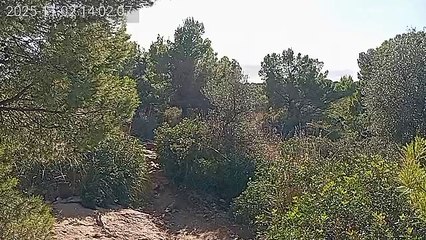 MALLORCA by UTMB 2025 2025 - Far des Cap Gros