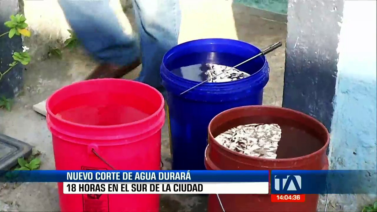 #EnVivo #Teleamazonas #Emisión Central