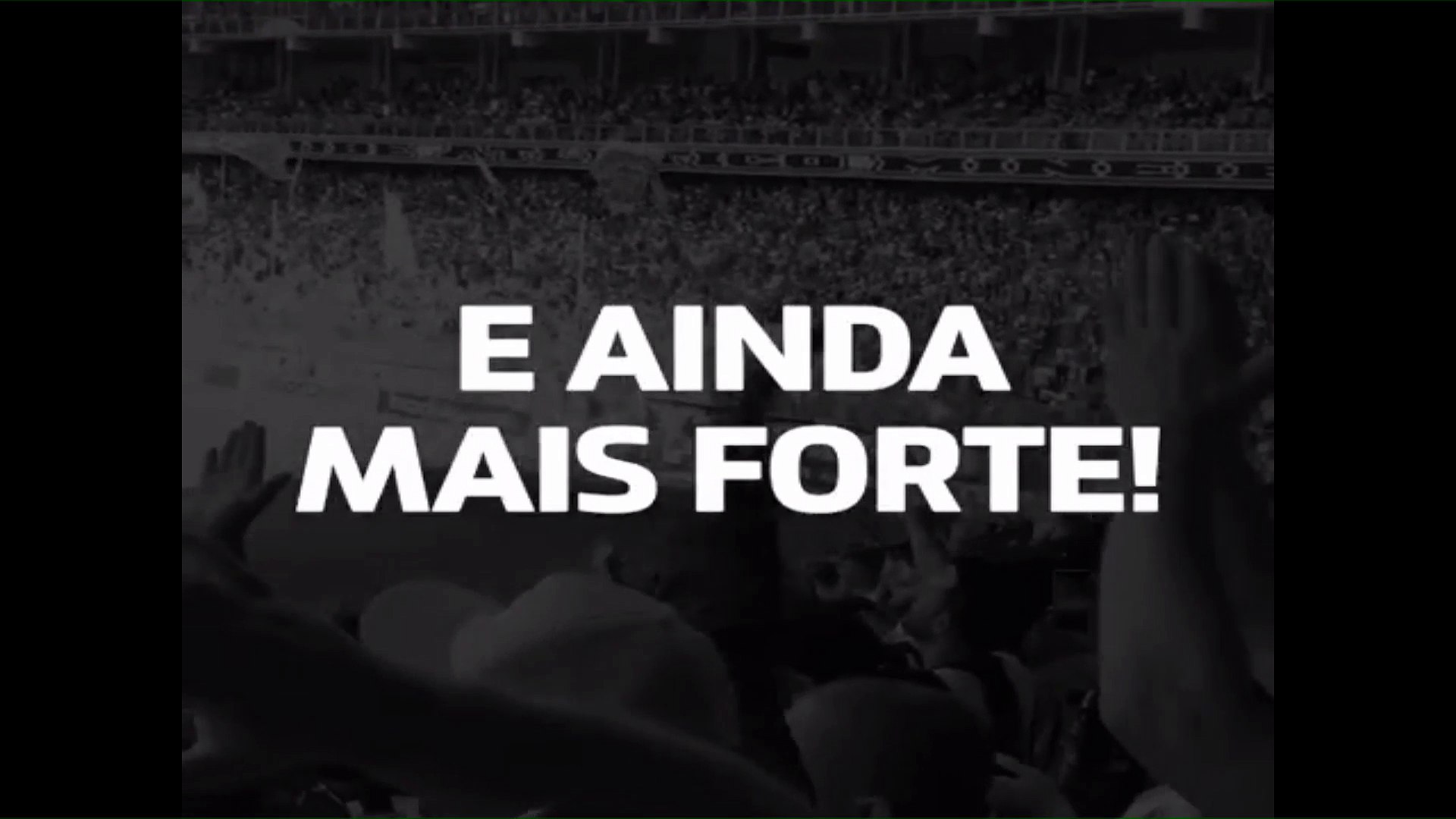 Galo Ao Vivo!