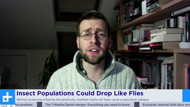 The Fate Of WMC To Be Decided This Week + Samsung Unpacked Is Today | Digital Trends Live 2.10.20