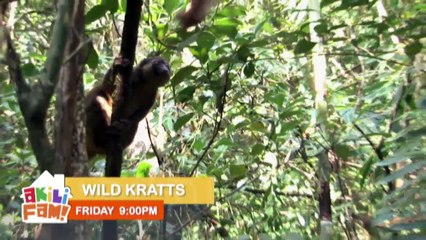 AKILI KIDS TV - Livestream