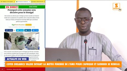 Feuss Net : Covid Organics validé devant la météo funèbre de l'OMS pour l'Afrique, et Djender se rebelle
