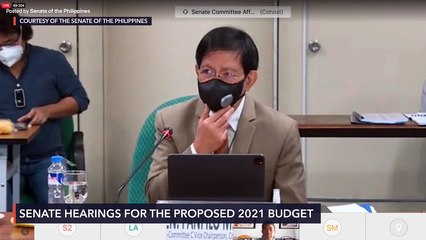 Senate budget hearing for PDEA & DDB for 2021 fiscal year