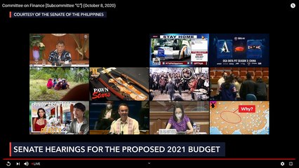 Senate budget hearing for DFA for 2021 fiscal year