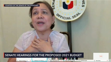 Senate budget hearing for DENR for 2021 fiscal year
