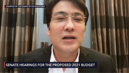 Senate budget hearing for DPWH for 2021 fiscal year