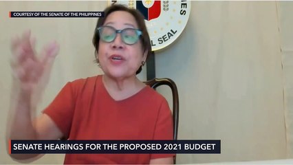 Senate budget hearing for DA for 2021 fiscal year