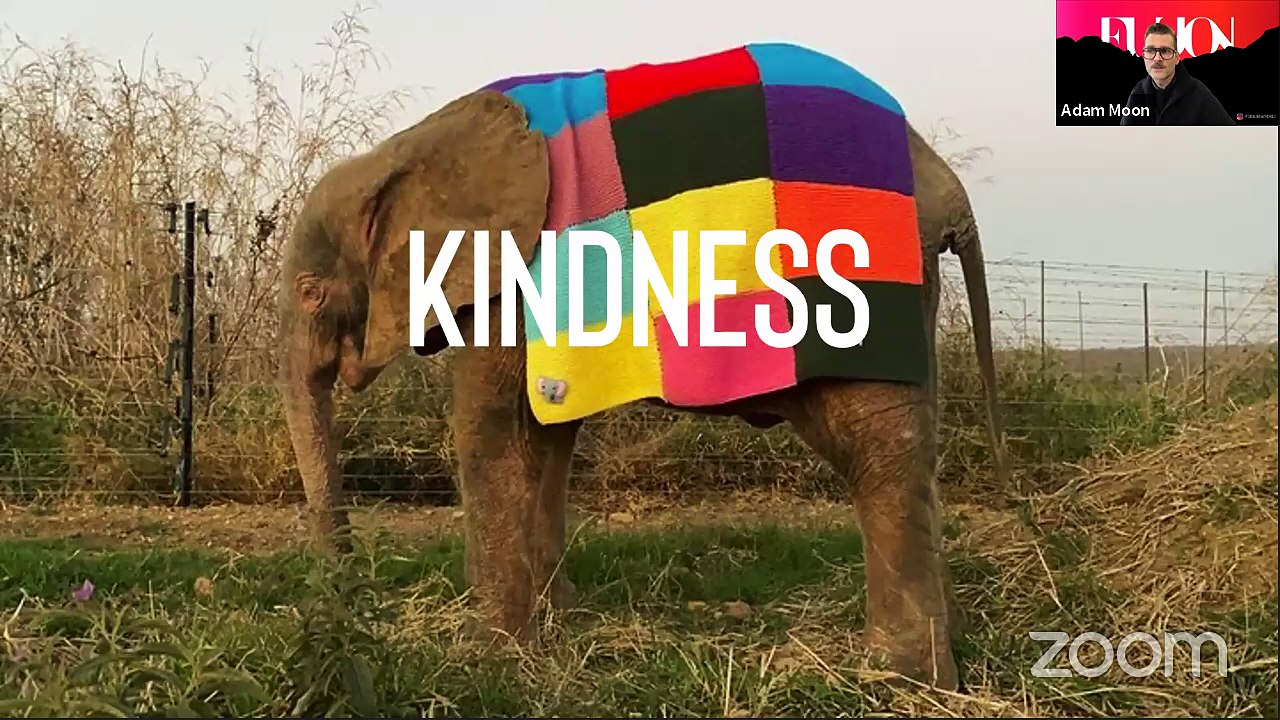 2021 Visual Merchandising & Design Trends w/ Fusion! WindowsWear LIVE! www.windowswear.com