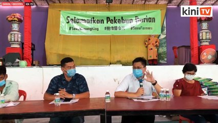LIVE: Latest update on the judicial review application by the Save Musang King Alliance (SAMKA)