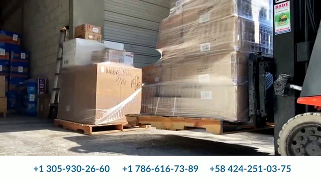 En Vivo - Inicia el conteo de votos en Detroit-Michigan