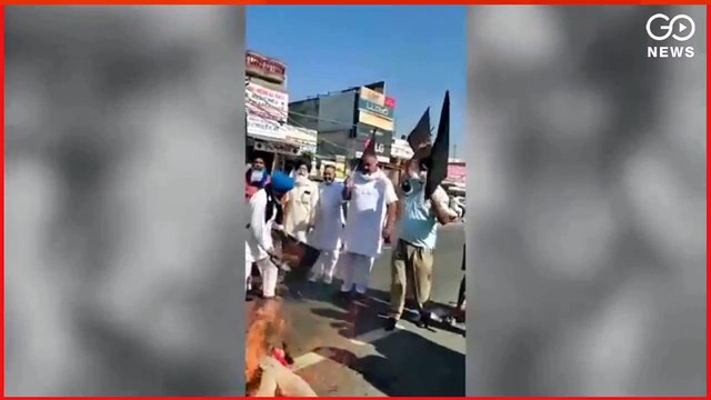 #BlackDay : #Farmers hoist #BlackFlags, burn effigies of #BJP leaders #FarmLaws #FarmersProtest #NarendraModi