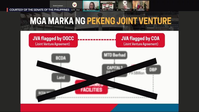 Risa Hontiveros delivers privilege speech on BCDA anomaly