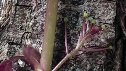 Prueba Marca Sport weekend