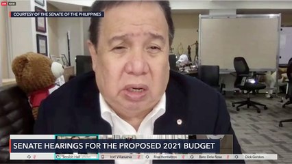 Senate plenary debates on the 2021 national budget bill