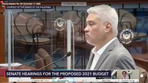 Senate plenary debates on the 2021 national budget bill