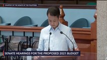 Senate plenary debates on the 2021 national budget bill