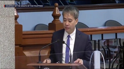 Senate plenary debates on the 2021 national budget bill