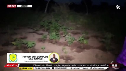 LIVE - Forum sur l’emploi des jeunes Linguère 2021