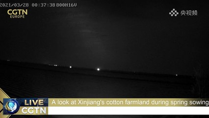 Live: A look at Xinjiang's cotton farmland during spring sowing