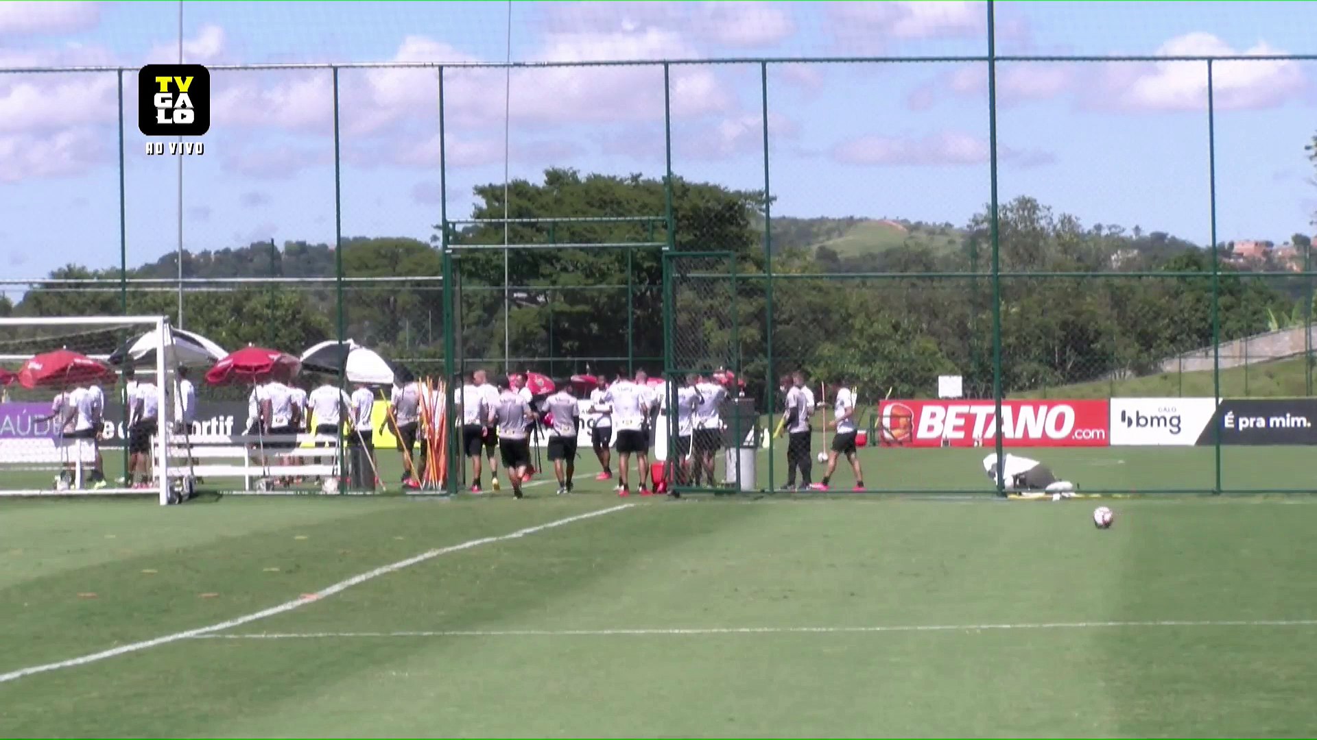 Galo Ao Vivo!