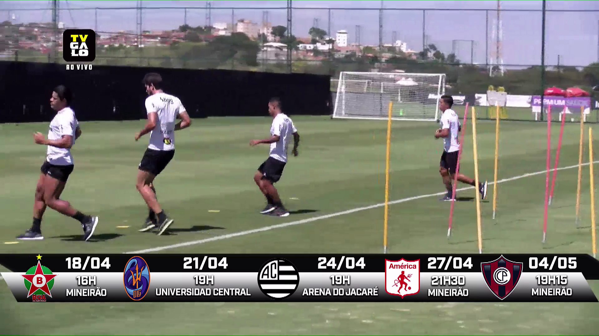 Galo Ao Vivo!