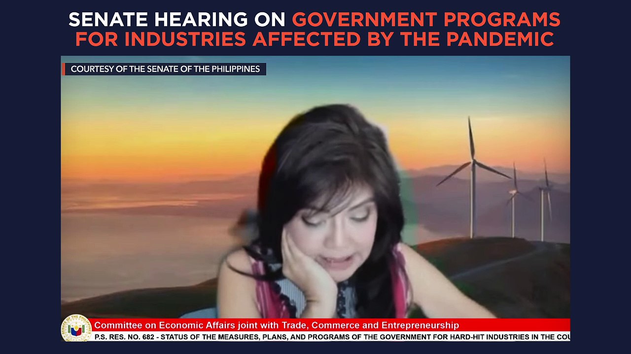 Senate hearing on govt programs for industries affected by the pandemic | Wednesday, May 19