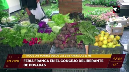 Feria franca en el Concejo Deliberante de Posadas