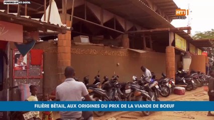 [DIRECT] - RTI1 en Direct