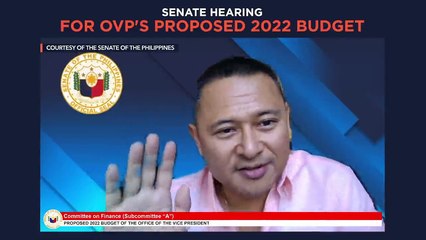Senate hearing on proposed 2022 budget for Office of the Vice President