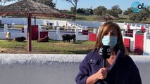 DIRECTO: Almeida y Ayuso visitan la escuela de tauromaquia José Cubero 