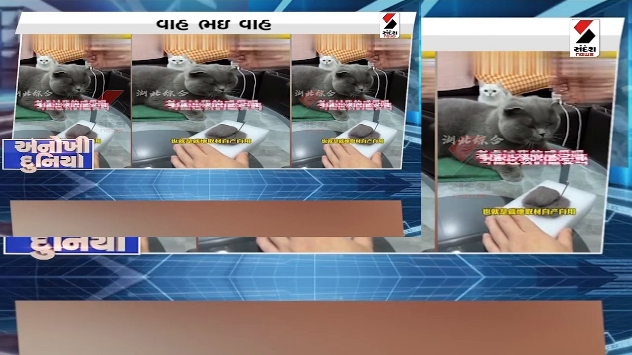 Test Digital Live Stream