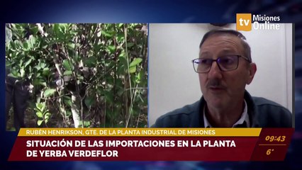 La yerba verdeflor cumple cinco años en Misiones