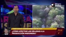 ¿Cómo afectan las heladas a la producción misionera?