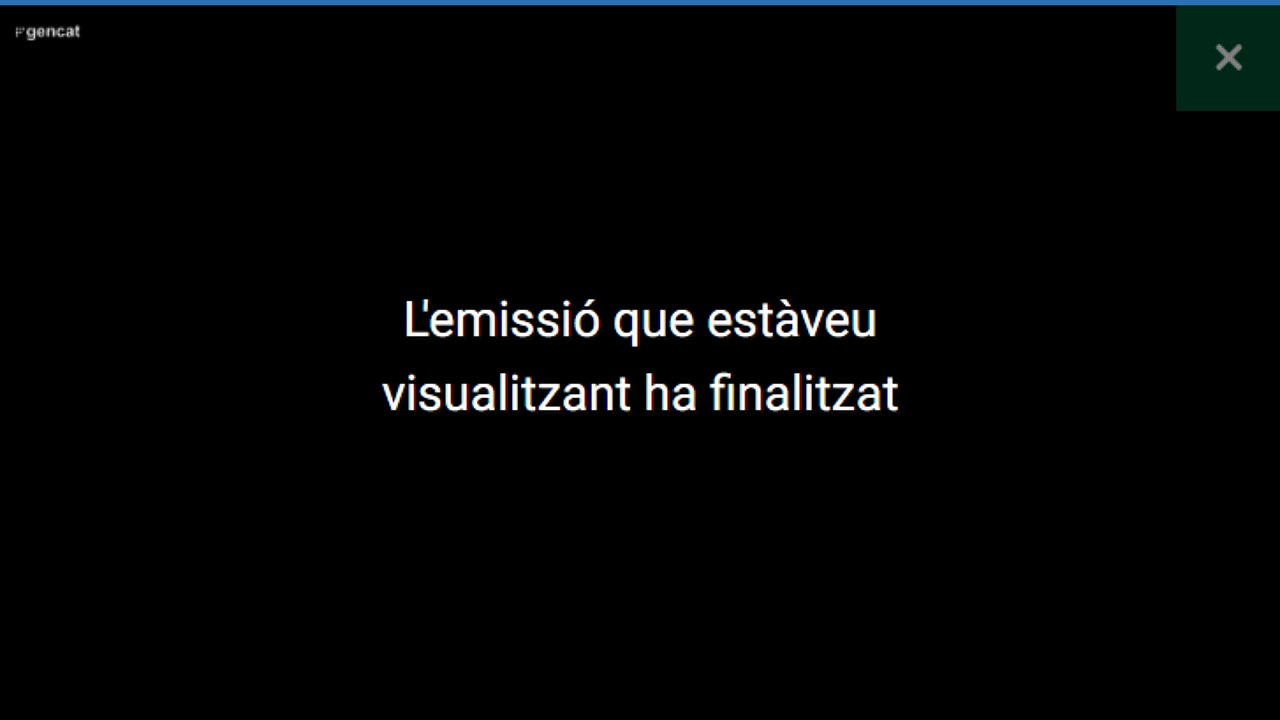#ENDIRECTE | Patrícia Plaja informa en roda de premsa dels acords que ha adoptat el Consell Executiu celebrat al matí